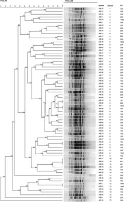 Whole-Genome Sequencing Elucidates the Epidemiology of Multidrug-Resistant Acinetobacter baumannii in an Intensive Care Unit